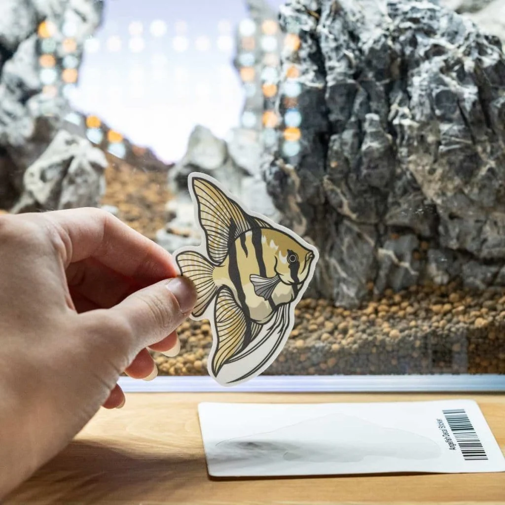 Angelfish Decal Sticker - Image 2