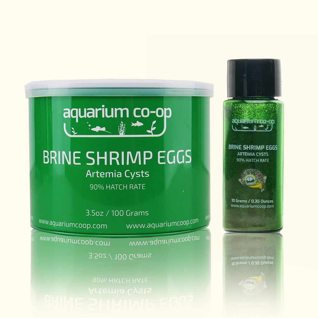 Aquarium Co-Op Brine Shrimp Eggs