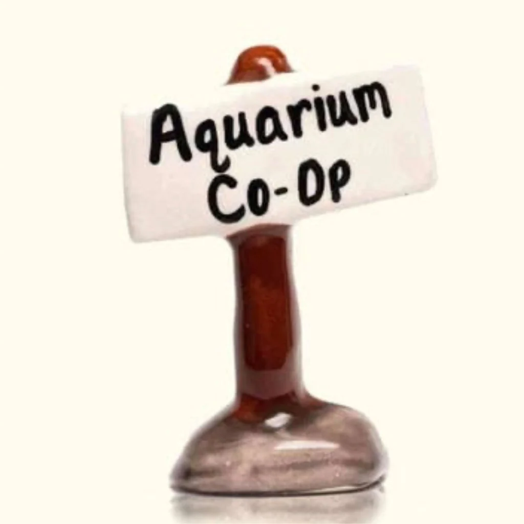 Aquarium Co-Op Decoration