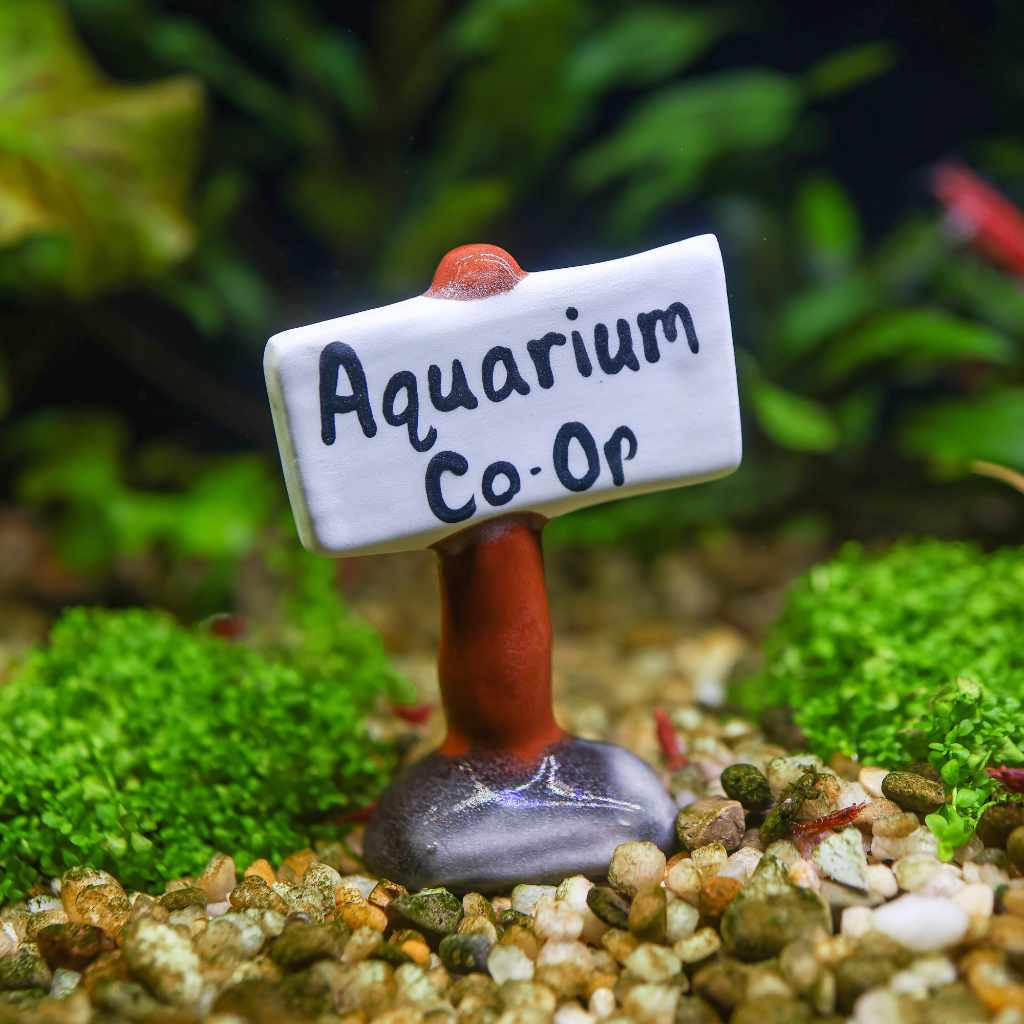 Aquarium Co-Op Decoration - Image 2