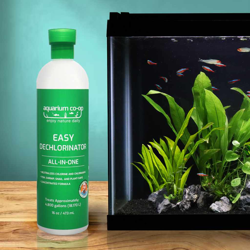Easy Dechlorinator - Image 2