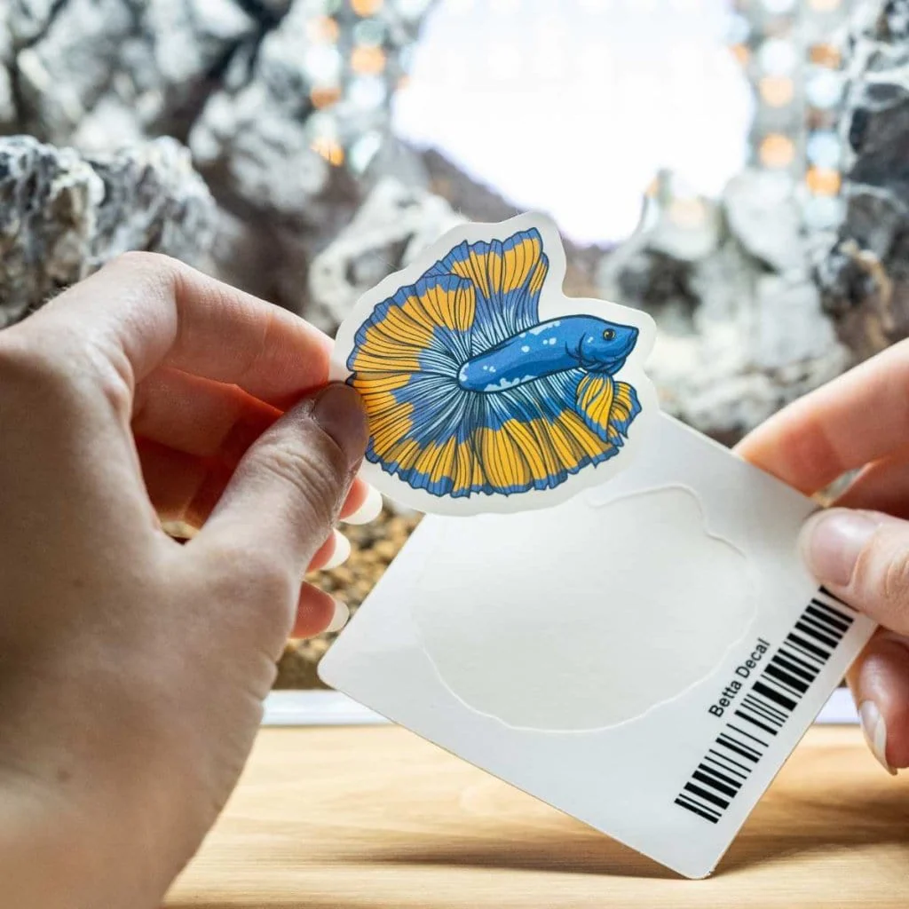 Betta Decal - Image 2