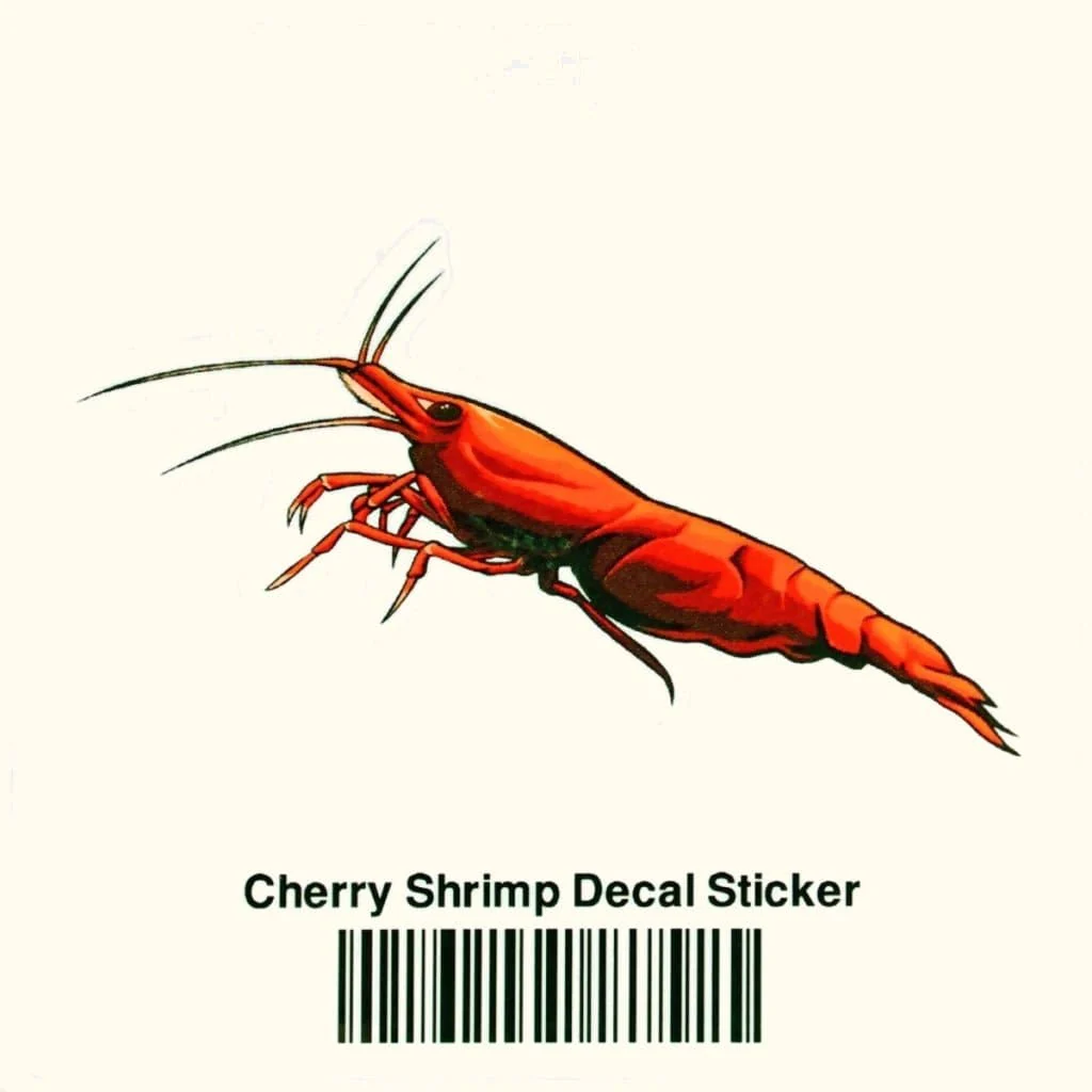 Cherry Shrimp Decal Sticker