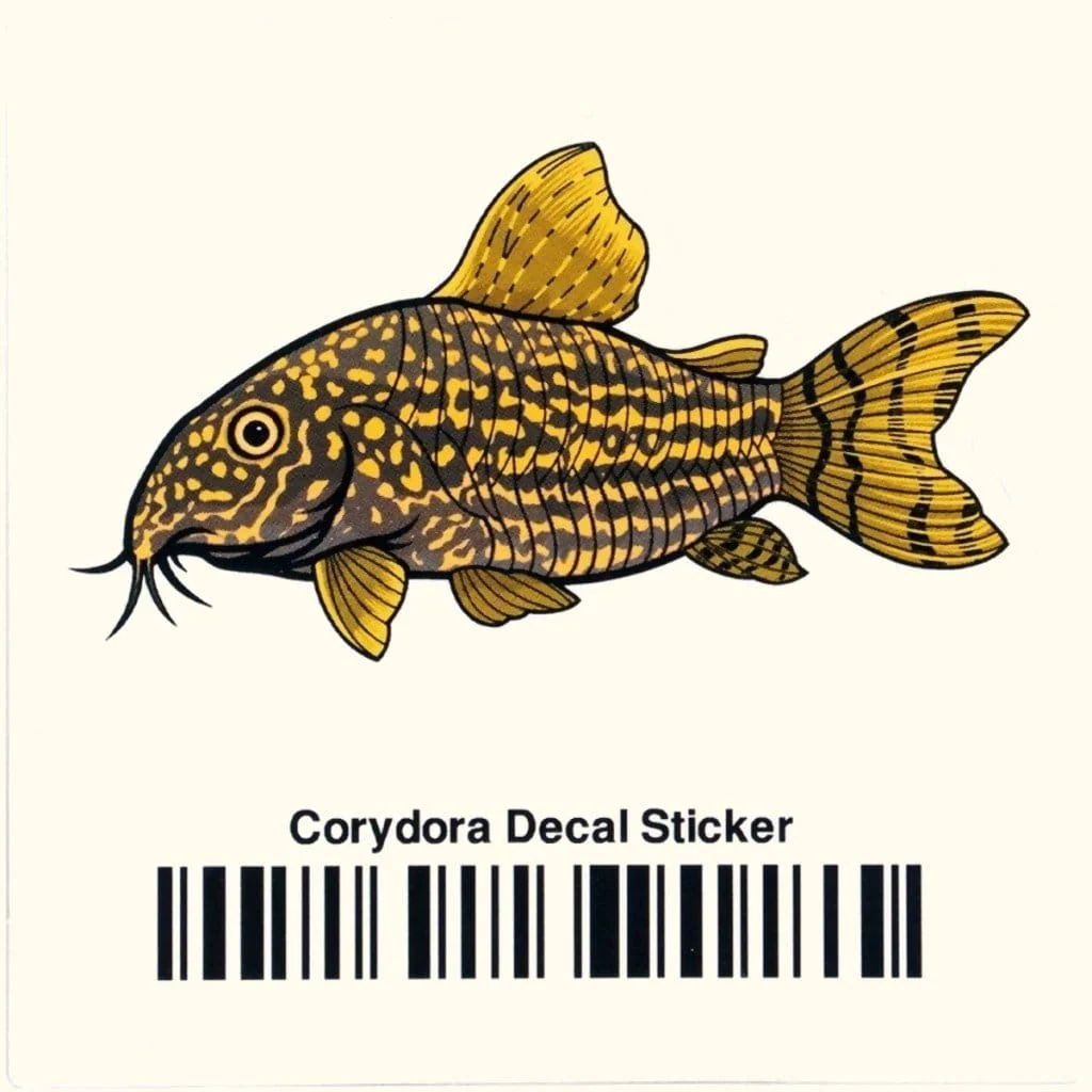 Corydoras Decal Sticker