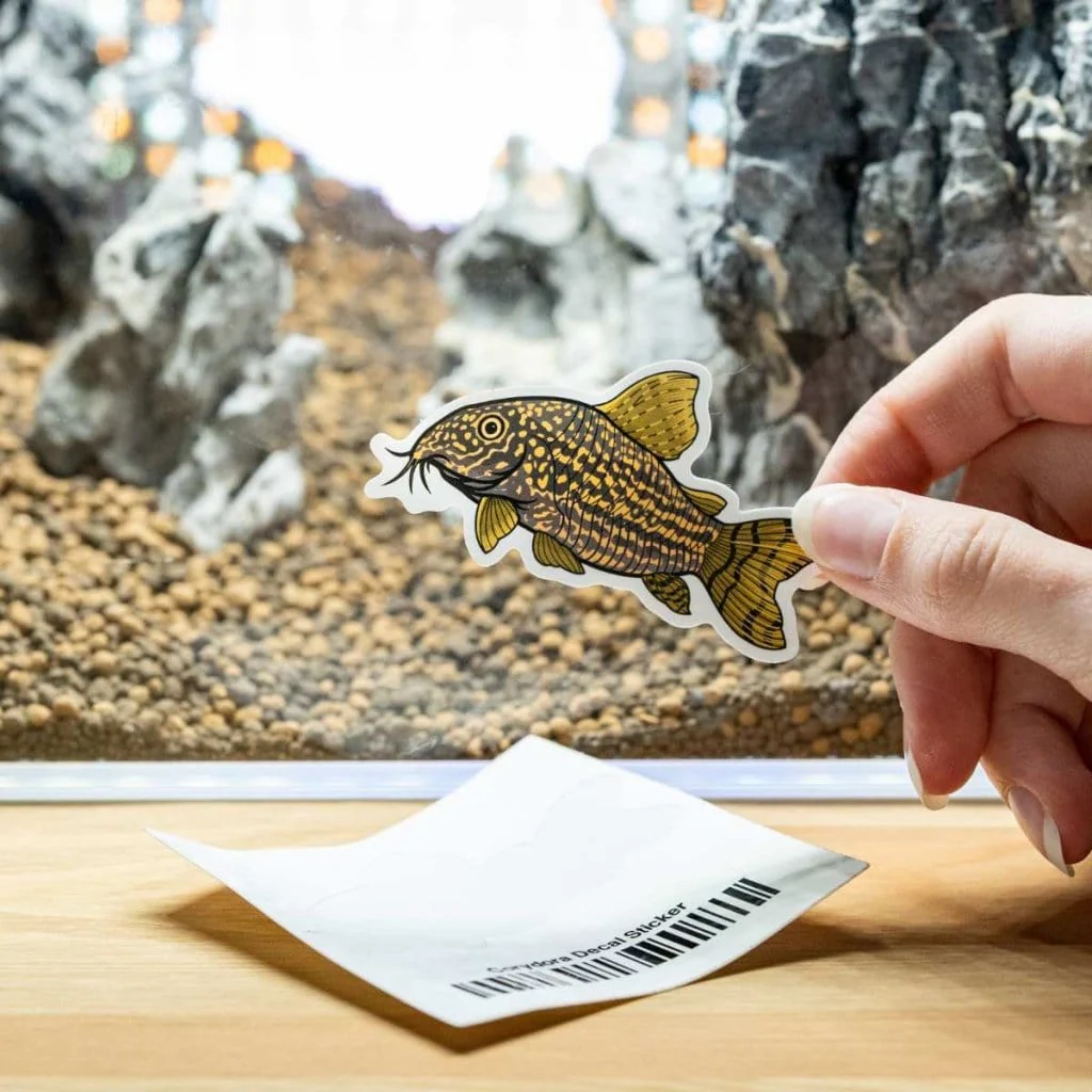 Corydoras Decal Sticker - Image 2