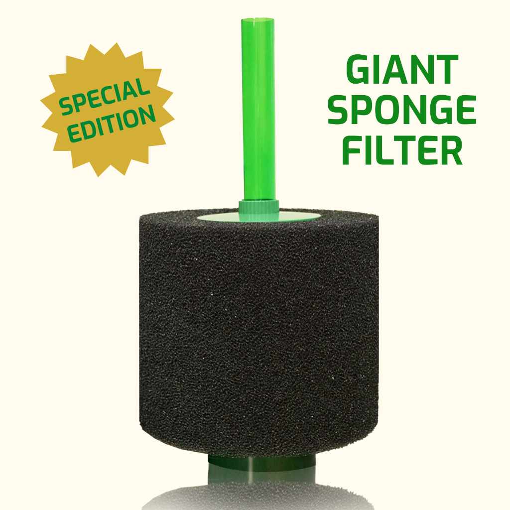 Giant Coarse Sponge Filter