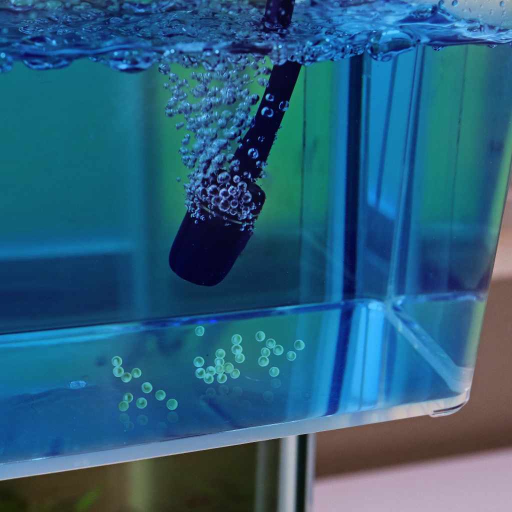 Methylene Blue - Image 2