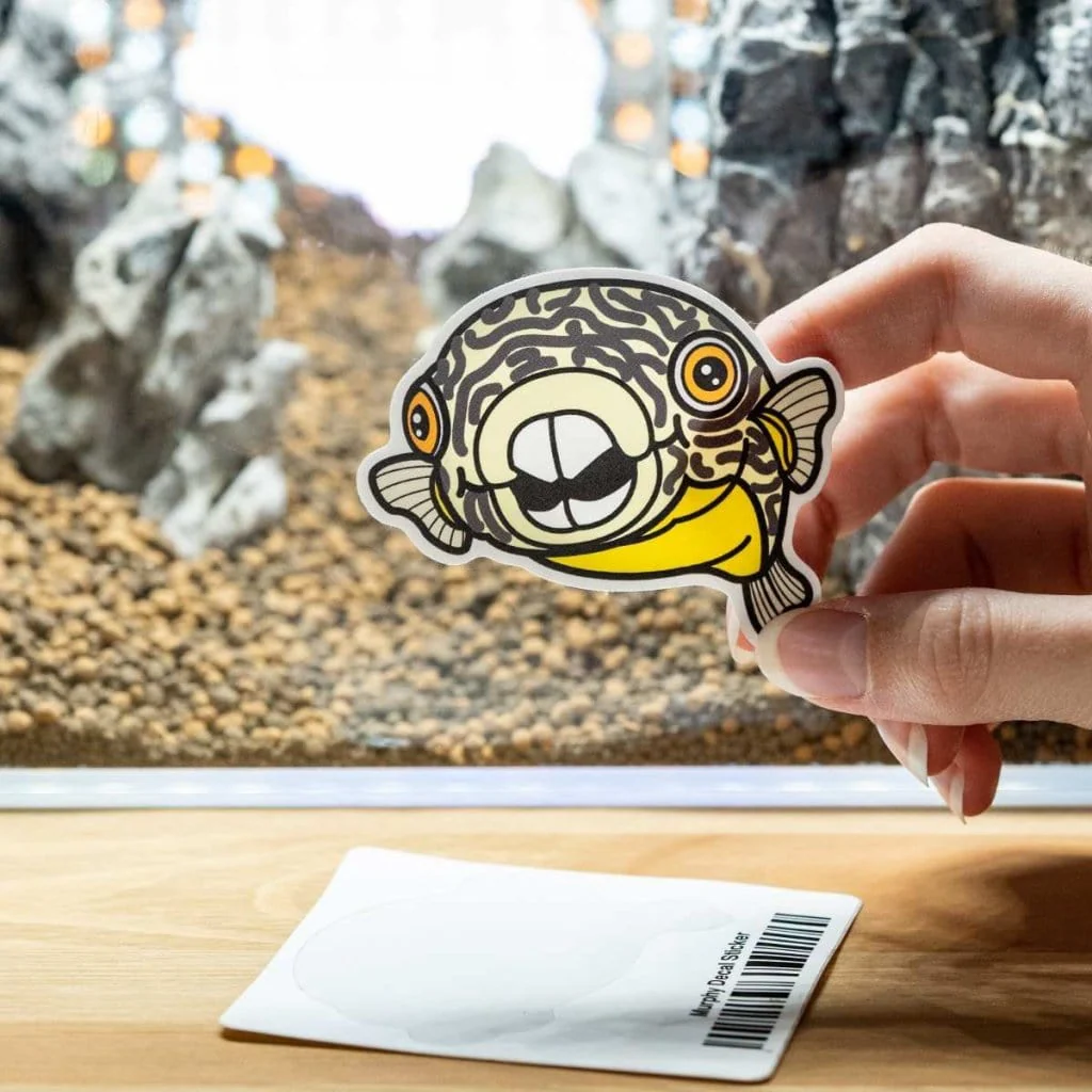 Murphy Decal Sticker