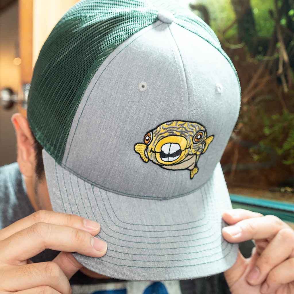 Murphy Mesh Snapback Hat