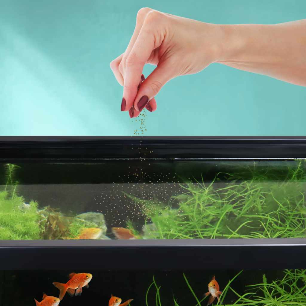 Easy Community Floating Pellets - Image 2