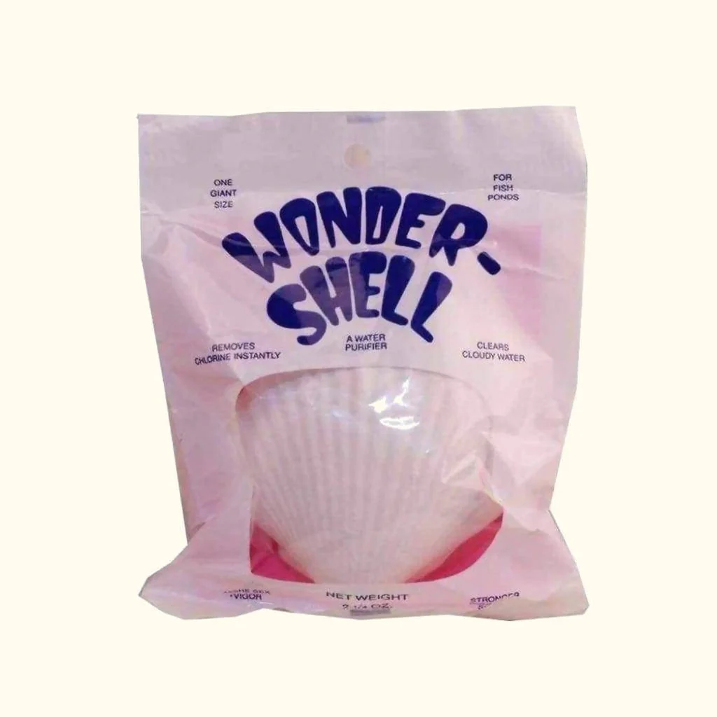 Wonder Shell